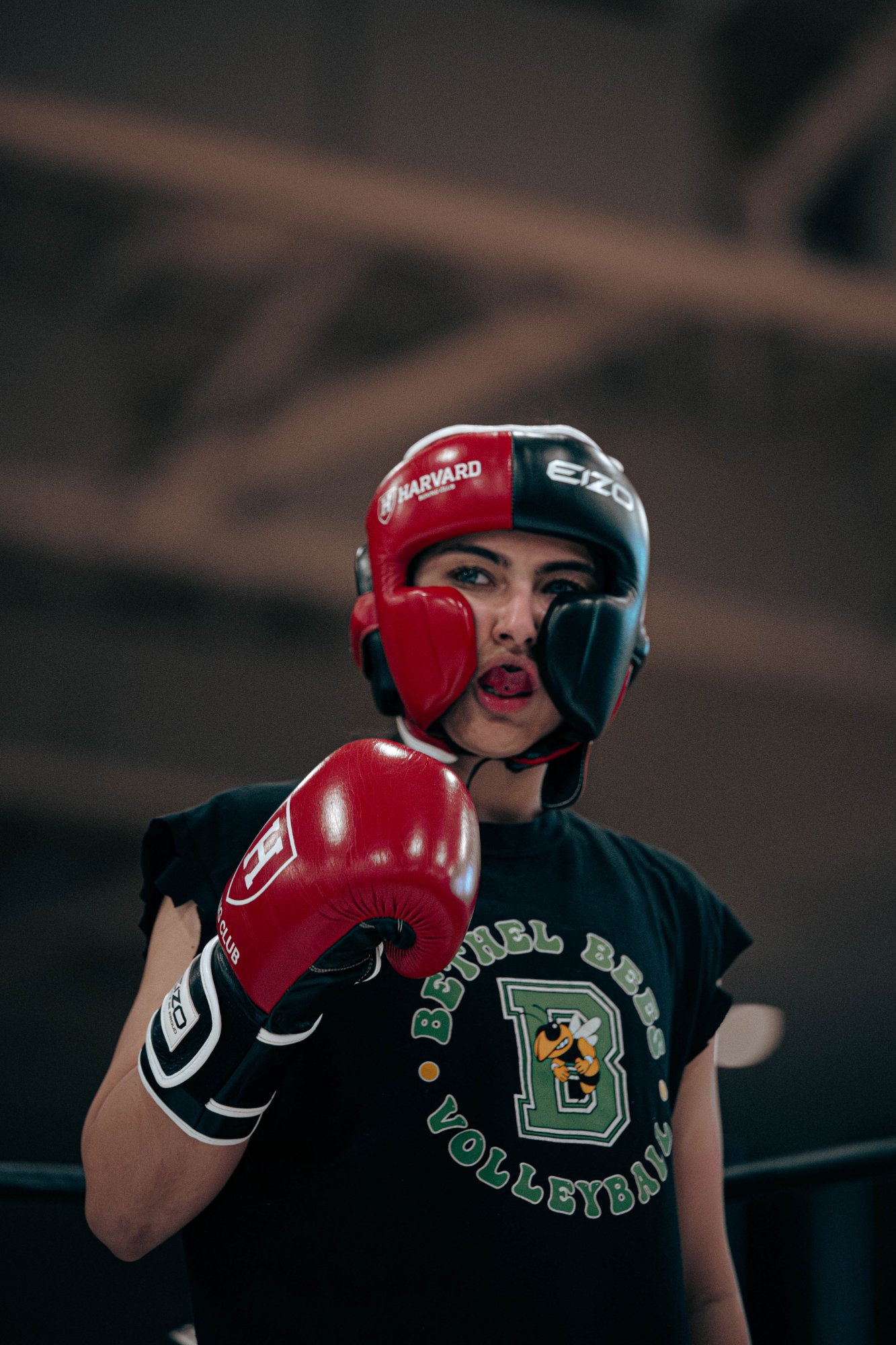 2026 Harvard x Babson Fight Night photo