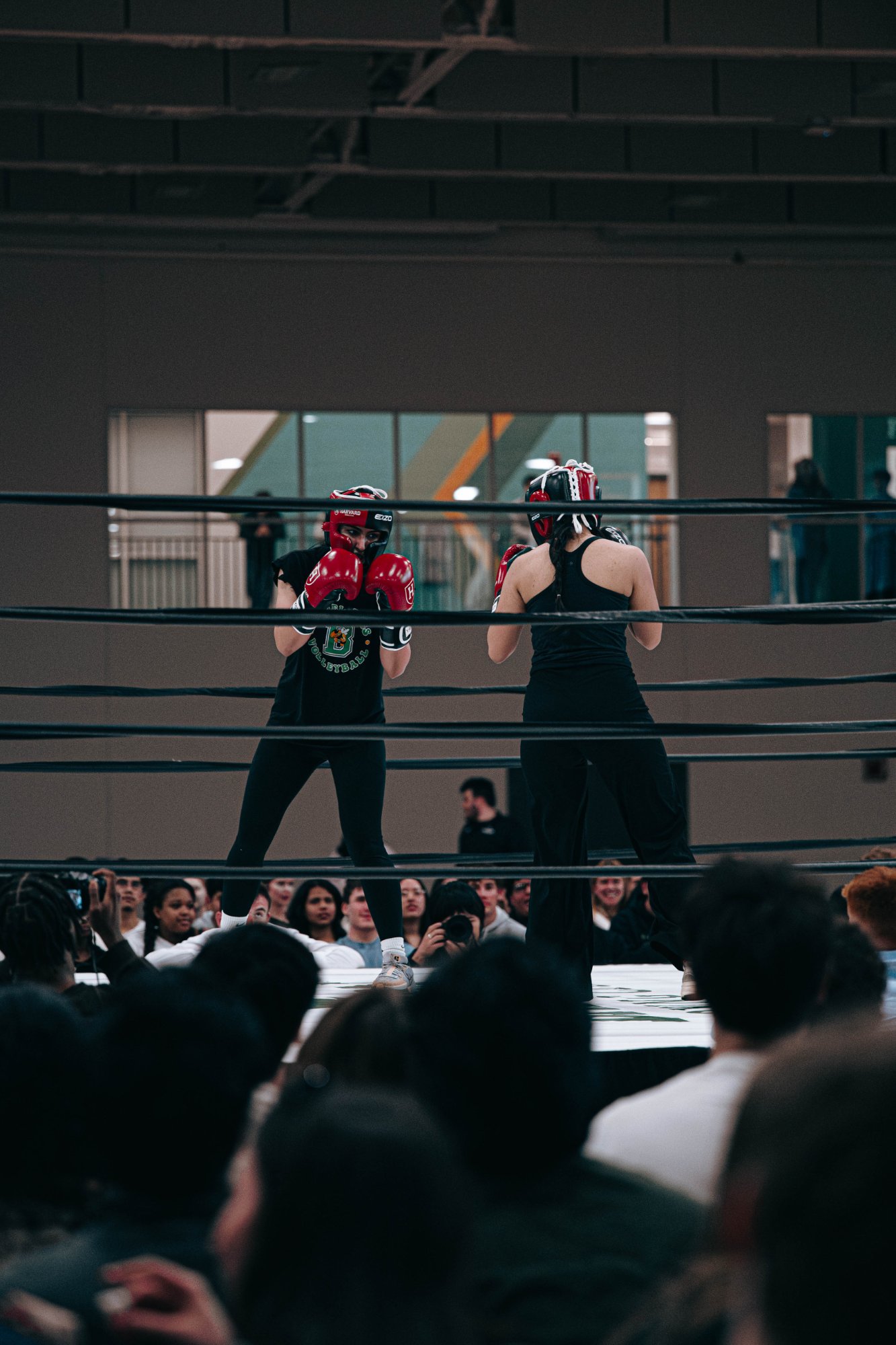 2026 Harvard x Babson Fight Night photo