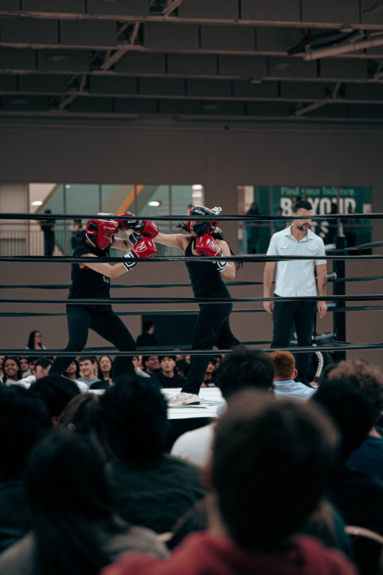 2026 Harvard x Babson Fight Night photo