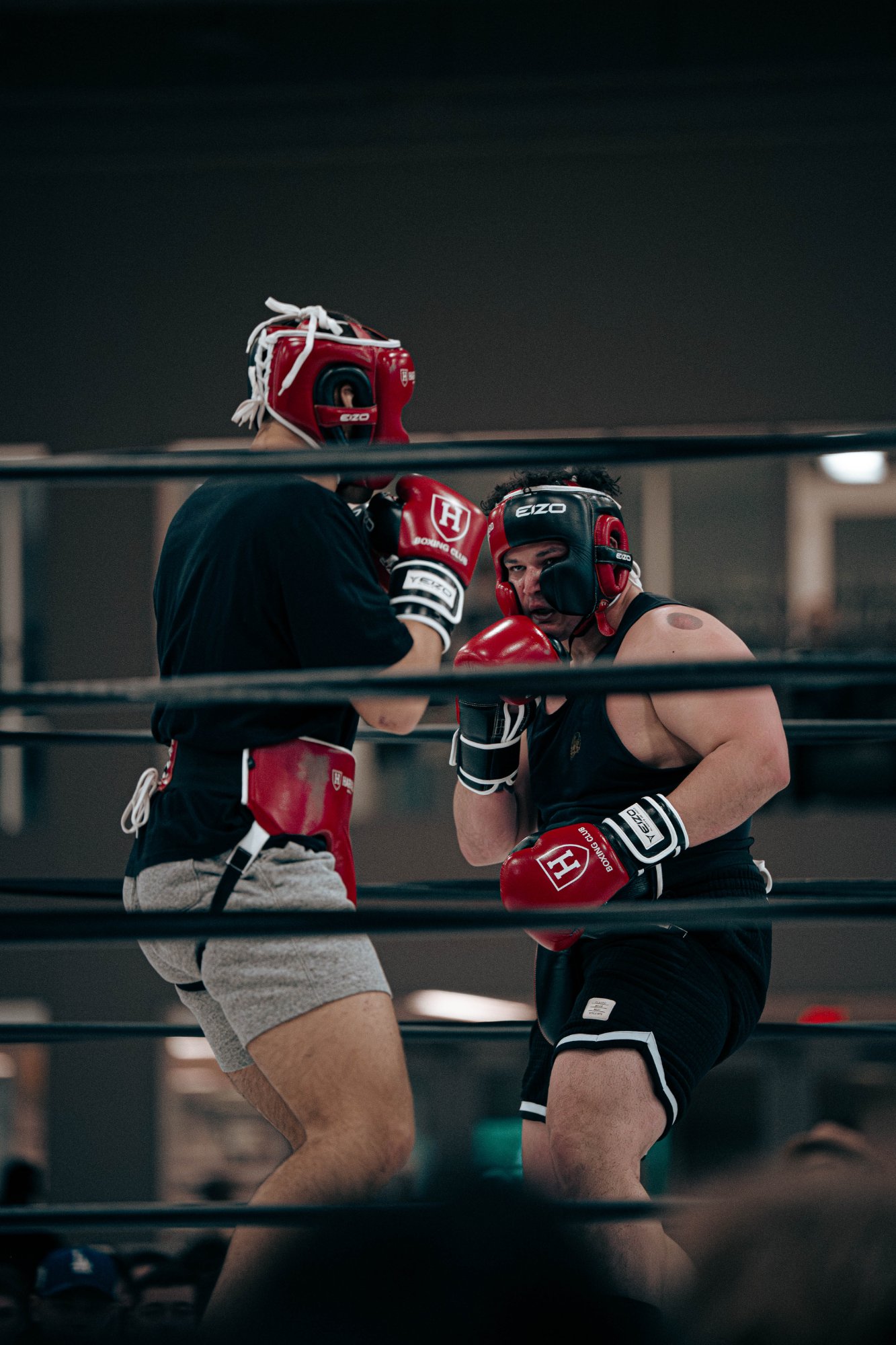 2026 Harvard x Babson Fight Night photo