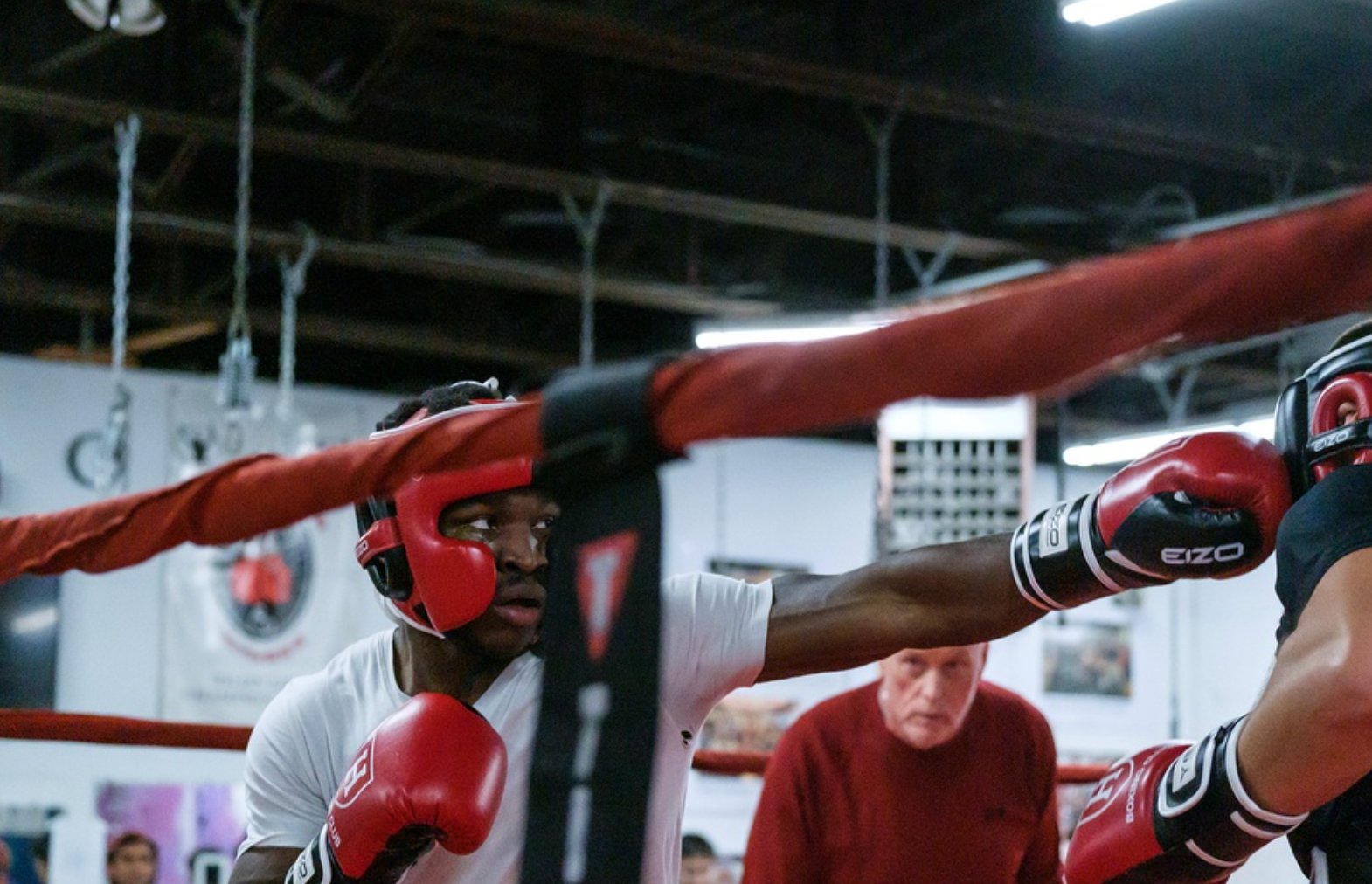 Annual Fight Night 2025 photo