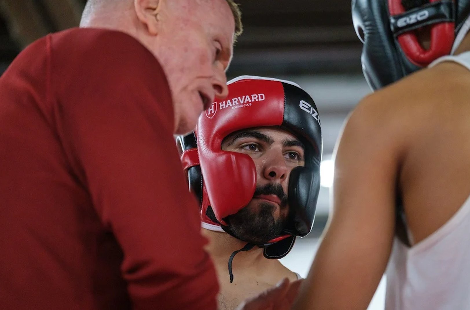 Annual Fight Night 2025 photo