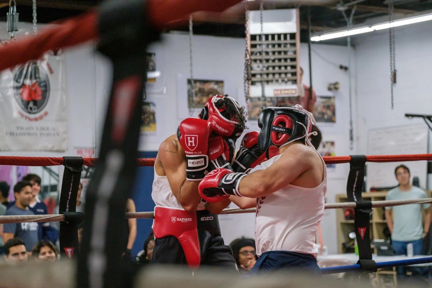Annual Fight Night 2025 photo